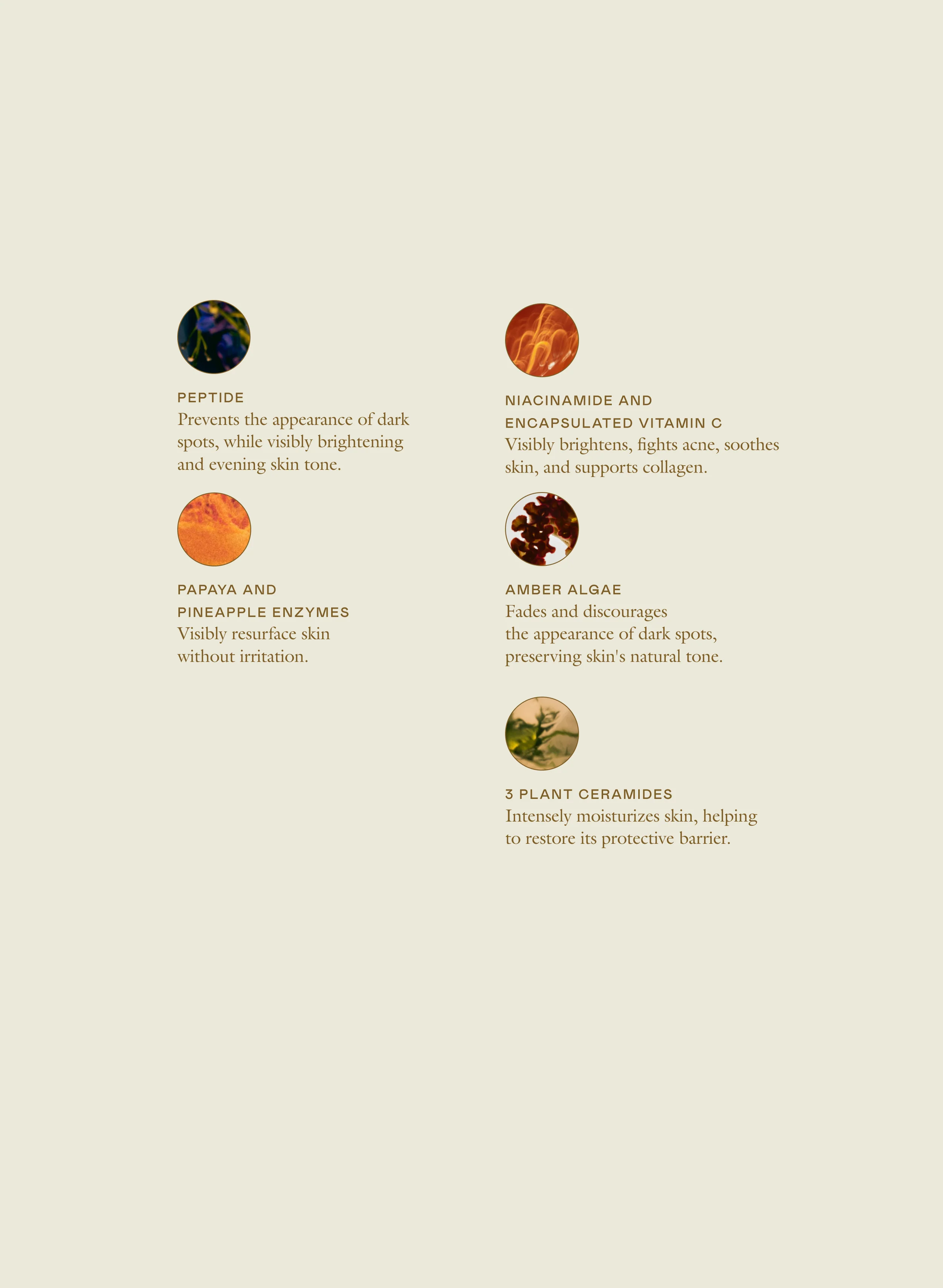 The 30 Second Duo - Image 5