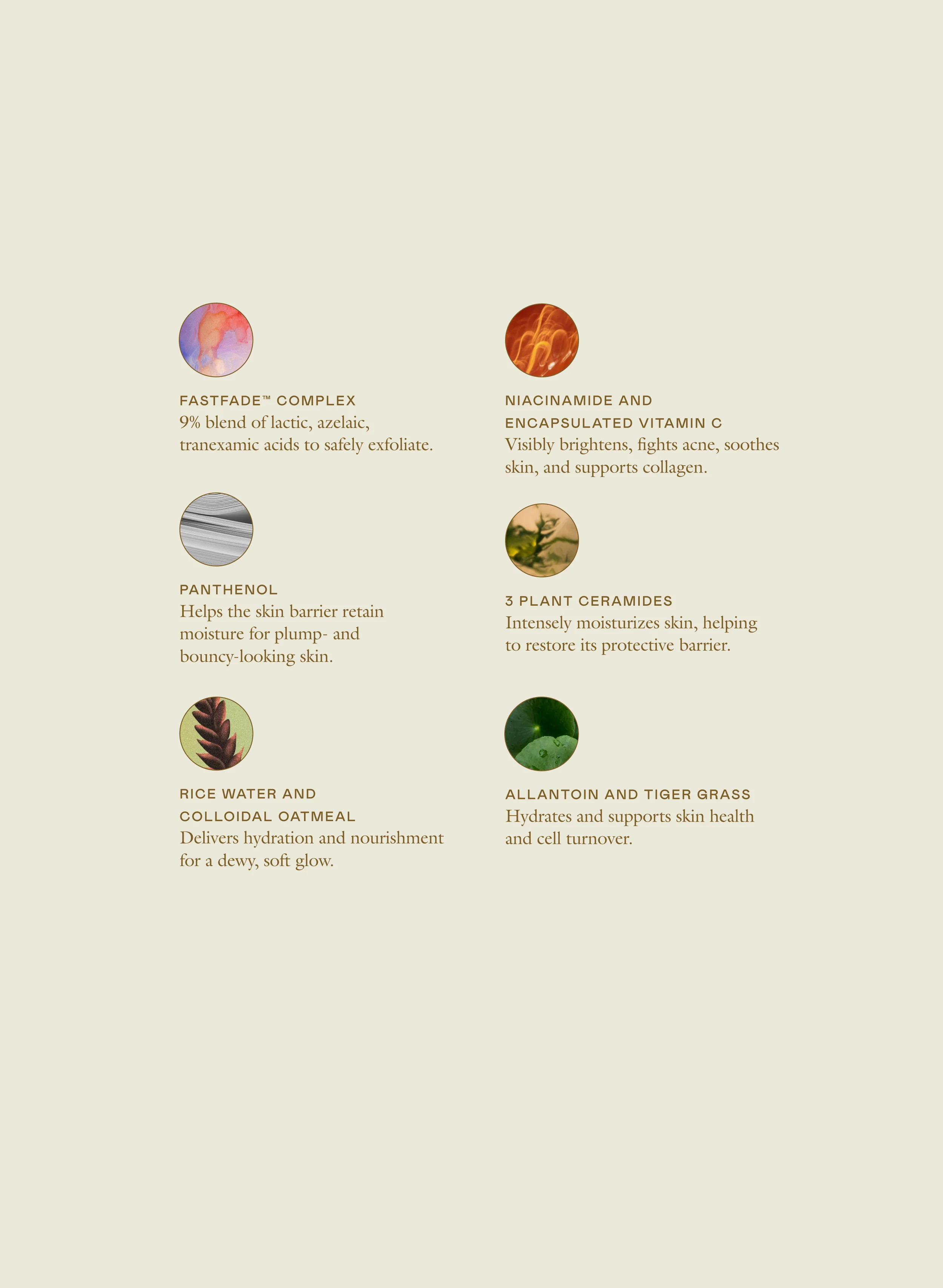 The Even Skin Set - Image 5