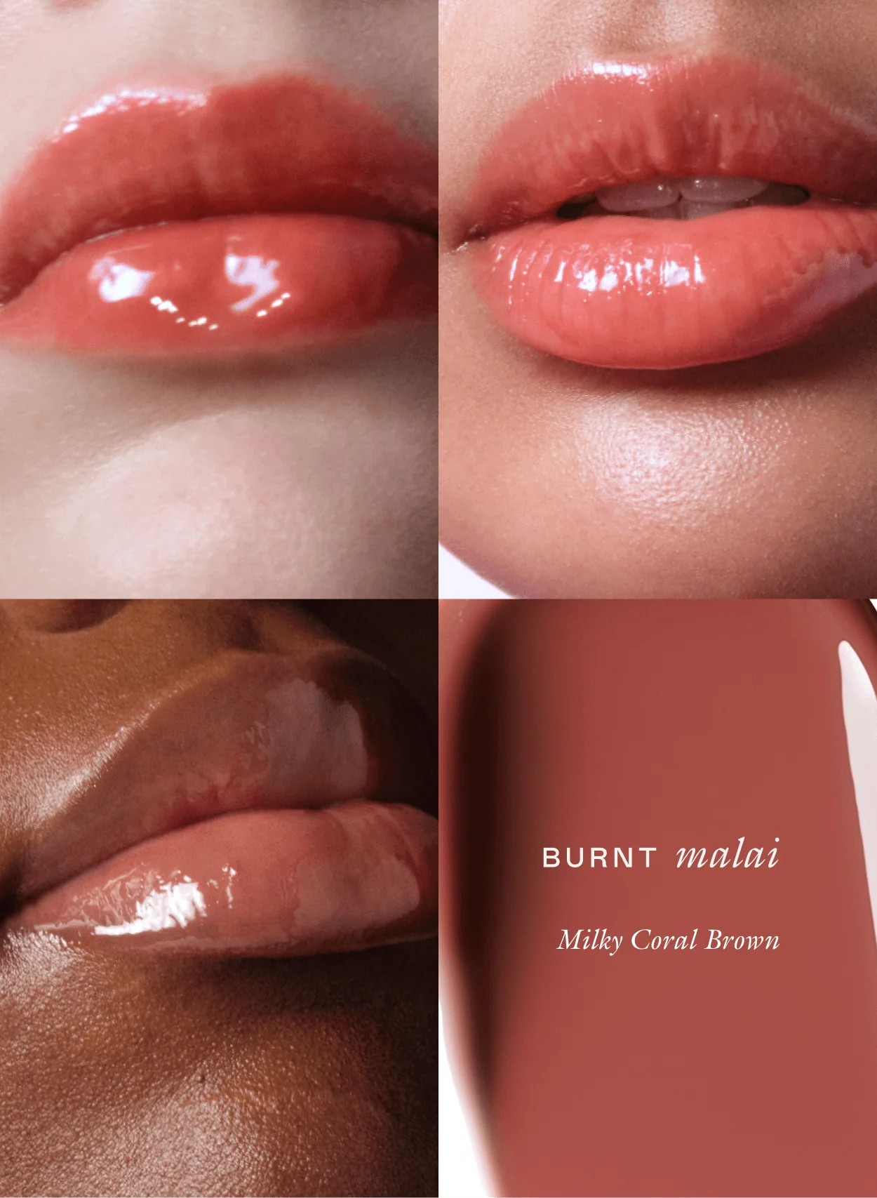 The Complete Le Chouchou Collection - Image 5