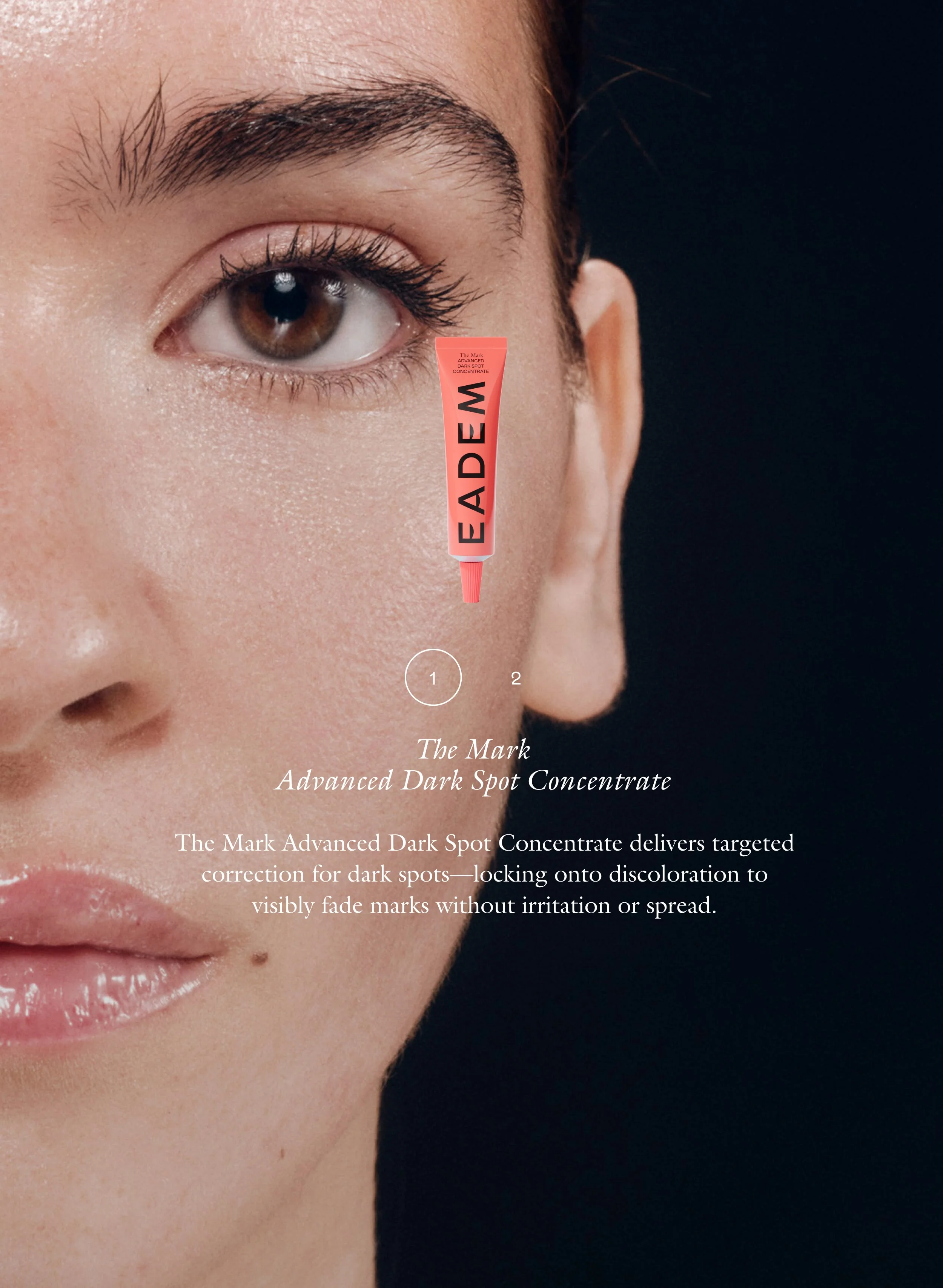 The Daily Edit - Image 4